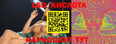крисы Малгобек