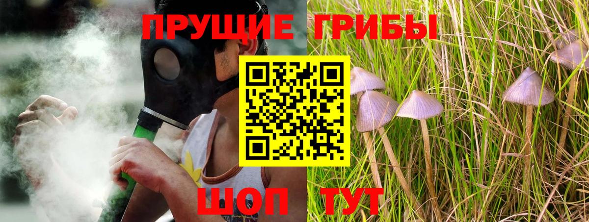 Галлюциногенные грибы Magic Shrooms  Галлюциногенные грибы Magic Shrooms  Вход с VPN  купить   Шали 