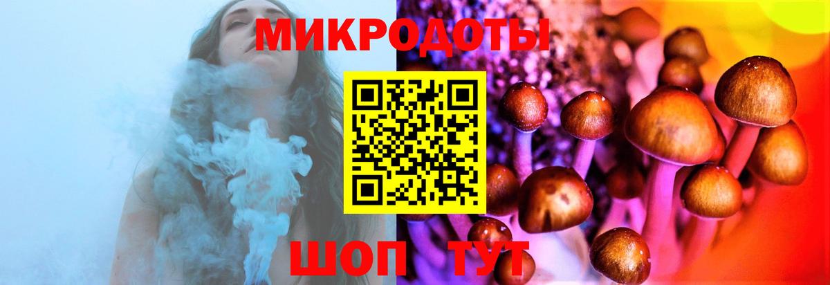 Псилоцибиновые грибы мухоморы Шали